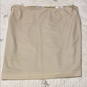 Kasper Beige Skirt